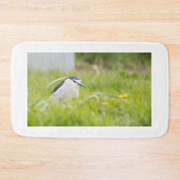 Item preview, Black Crowned Night Heron designed and sold by LaurenTucker.