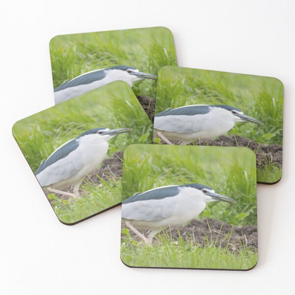 Item preview, Black Crowned Night Heron designed and sold by LaurenTucker.