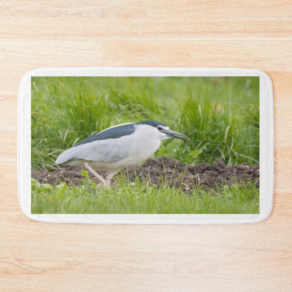 Item preview, Black Crowned Night Heron designed and sold by LaurenTucker.