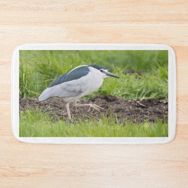 Item preview, Black Crowned Night Heron designed and sold by LaurenTucker.