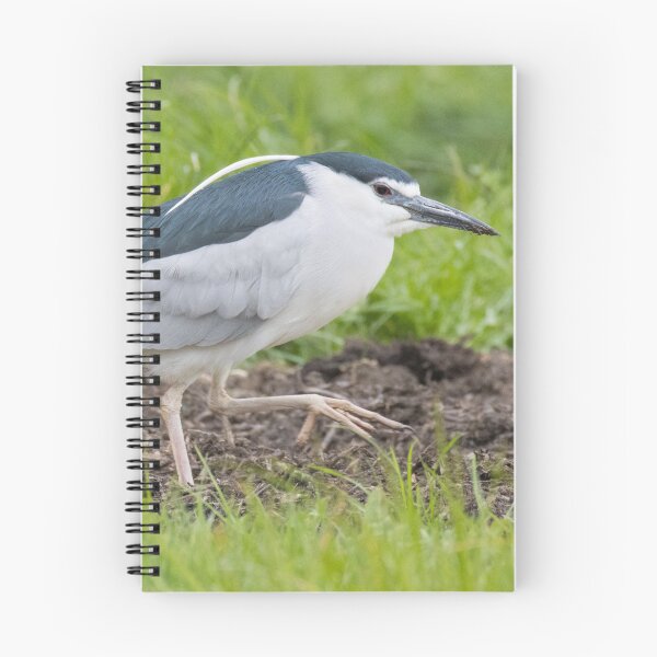 Item preview, Black Crowned Night Heron designed and sold by LaurenTucker.