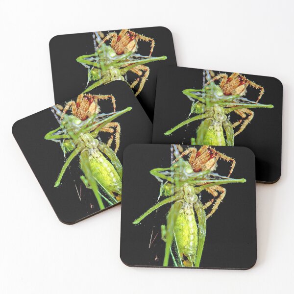 Item preview, Predator and Prey; Spider Captures and Eats a Much Larger Katydid designed and sold by AMacGPhilly.