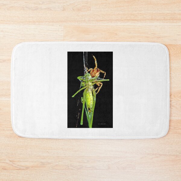 Item preview, Predator and Prey; Spider Captures and Eats a Much Larger Katydid designed and sold by AMacGPhilly.
