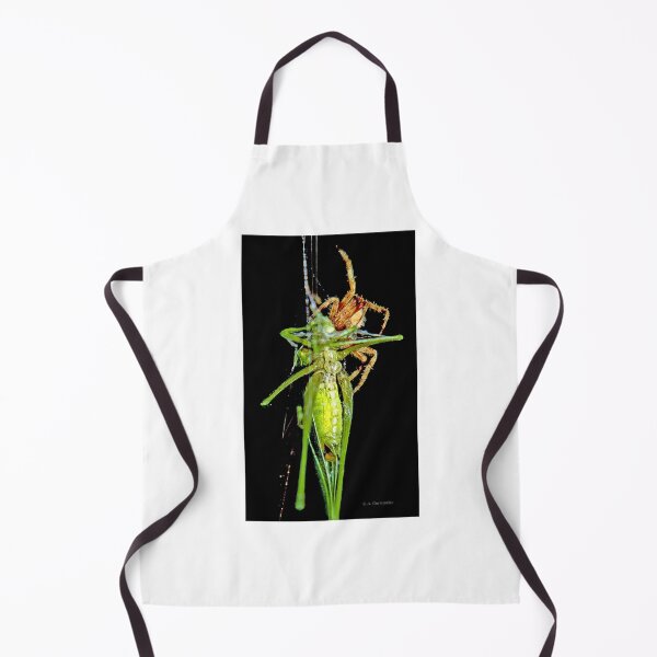Item preview, Predator and Prey; Spider Captures and Eats a Much Larger Katydid designed and sold by AMacGPhilly.