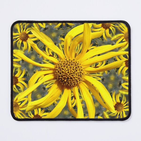 Item preview, Ashy Sunflower Plant - 3 designed and sold by BostonArcImage.