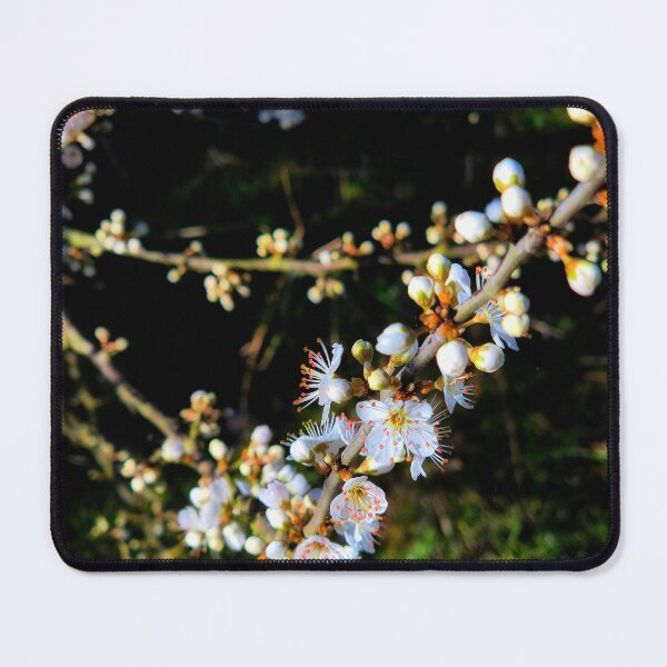 Item preview, Spring Blossoms designed and sold by Ms-Bexy.