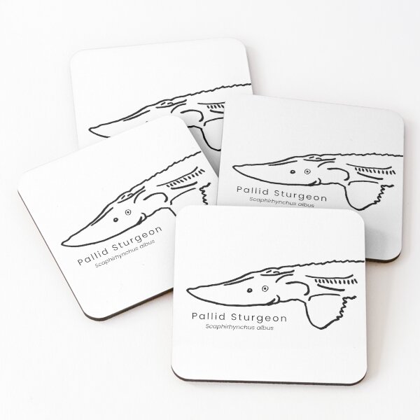 Item preview, Pallid Sturgeon designed and sold by The Freshwater Naturalist.