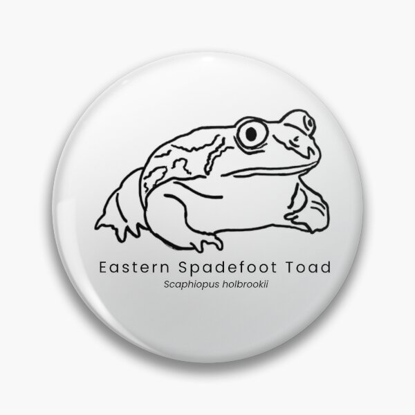 Item preview, Eastern Spadefoot Toad designed and sold by The Freshwater Naturalist.