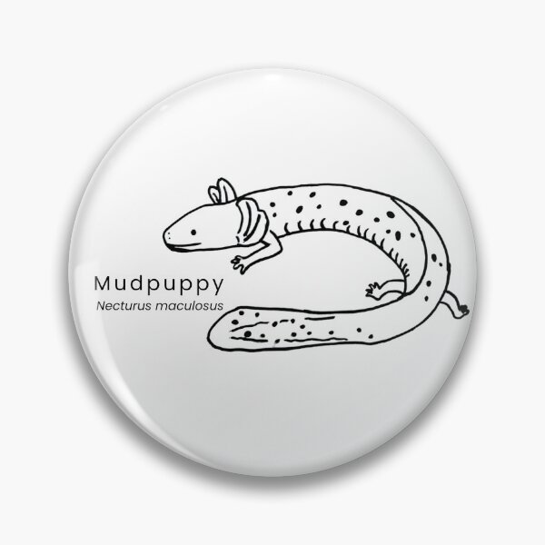 Item preview, Mudpuppy designed and sold by The Freshwater Naturalist.