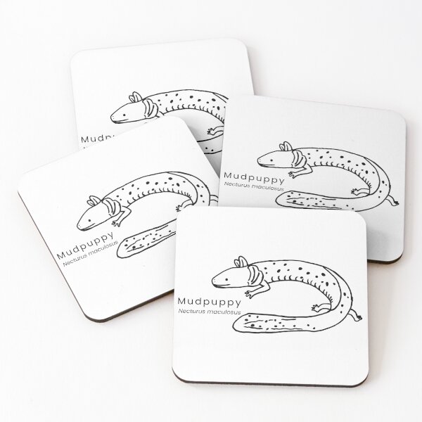 Item preview, Mudpuppy designed and sold by The Freshwater Naturalist.