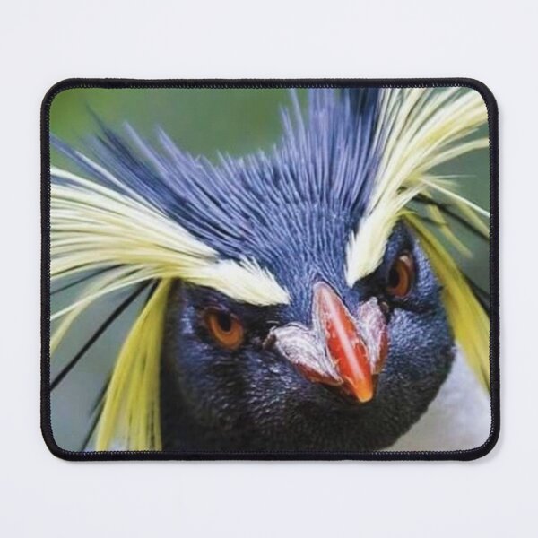 Item preview, Crested penguin designed and sold by di-Vera-Rosati.