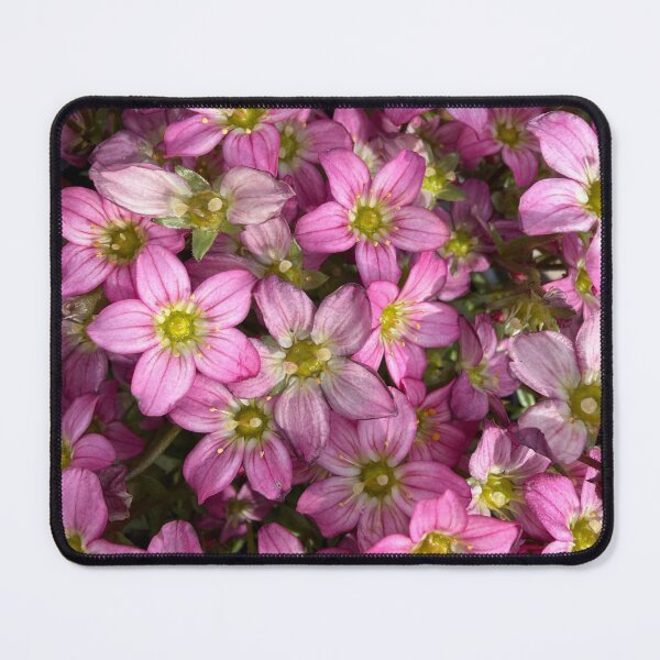 Item preview, Pink Galaxy of Flowers designed and sold by Betsy Phillips.