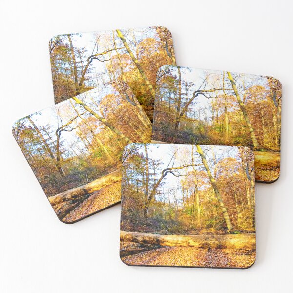 Item preview, Fallen Tree, Forest Brook, Autumn, Southeastern Pennsylvania designed and sold by AMacGPhilly.