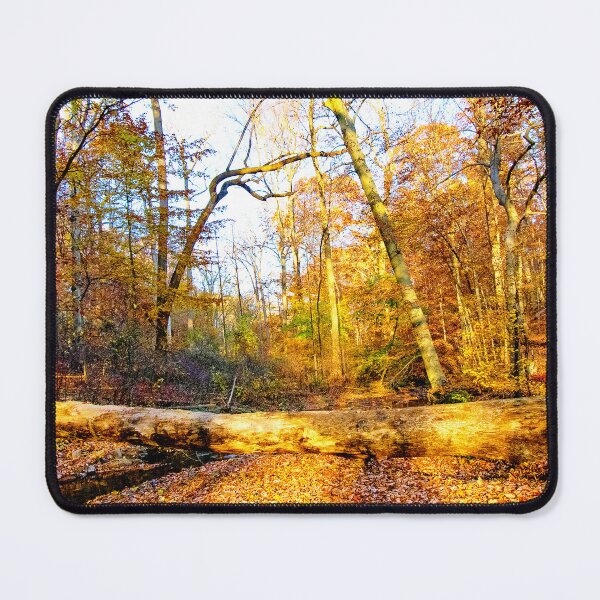 Item preview, Fallen Tree, Forest Brook, Autumn, Southeastern Pennsylvania designed and sold by AMacGPhilly.