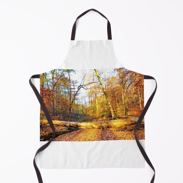 Item preview, Fallen Tree, Forest Brook, Autumn, Southeastern Pennsylvania designed and sold by AMacGPhilly.
