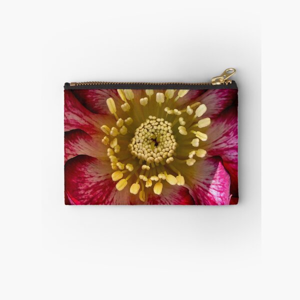 Item preview, Hellebores 'Whirlwind Romance' Close Up designed and sold by bjtomiko.