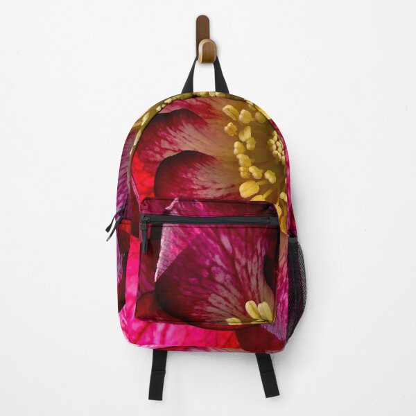 Item preview, Hellebores 'Whirlwind Romance' Close Up designed and sold by bjtomiko.