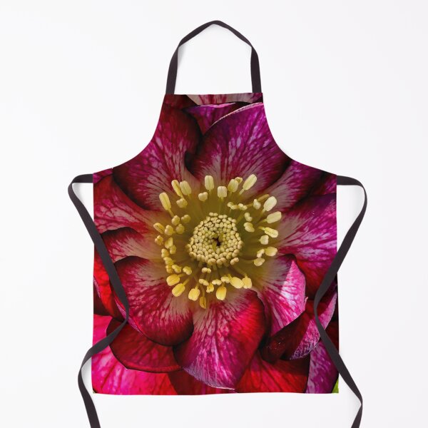 Item preview, Hellebores 'Whirlwind Romance' Close Up designed and sold by bjtomiko.