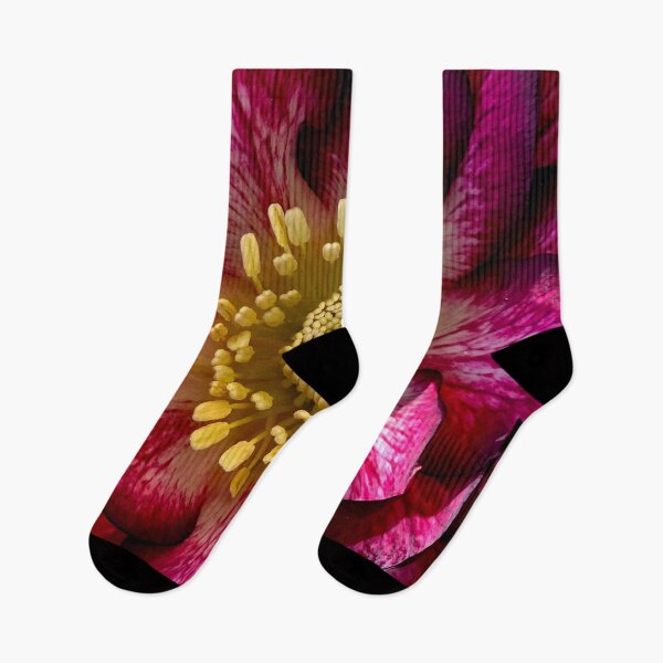 Item preview, Hellebores 'Whirlwind Romance' Close Up designed and sold by bjtomiko.