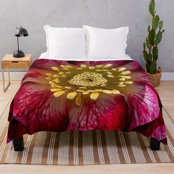 Item preview, Hellebores 'Whirlwind Romance' Close Up designed and sold by bjtomiko.