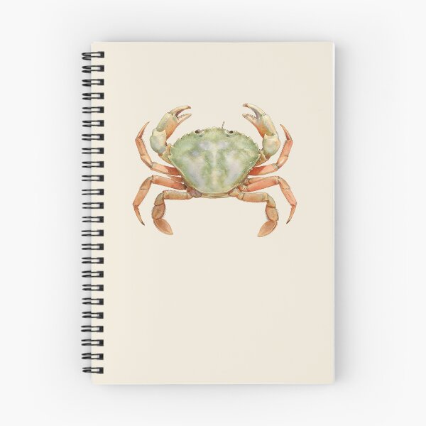 Item preview, Shore Crab (Carcinus maenas) designed and sold by AhojAnezkaAhoj.