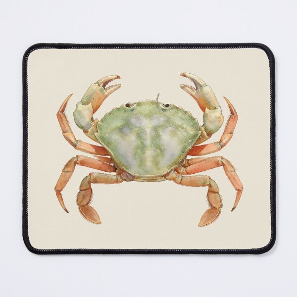Item preview, Shore Crab (Carcinus maenas) designed and sold by AhojAnezkaAhoj.