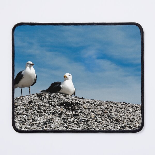 Item preview, Pair of Seagulls (Watercolor-style photo) designed and sold by Alan-David.