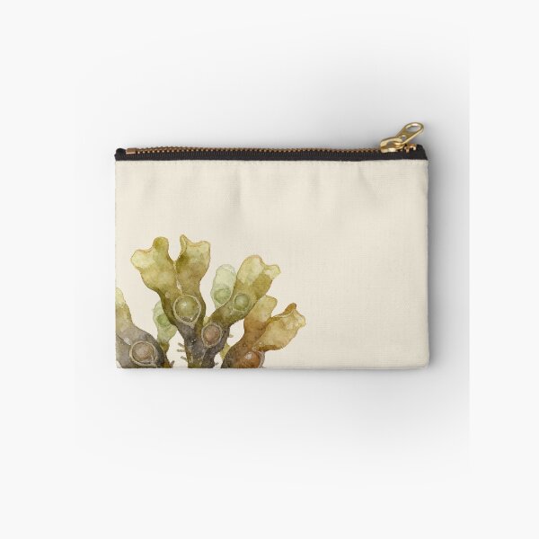 Item preview, Bladderwrack (Fucus vesiculosus) designed and sold by AhojAnezkaAhoj.