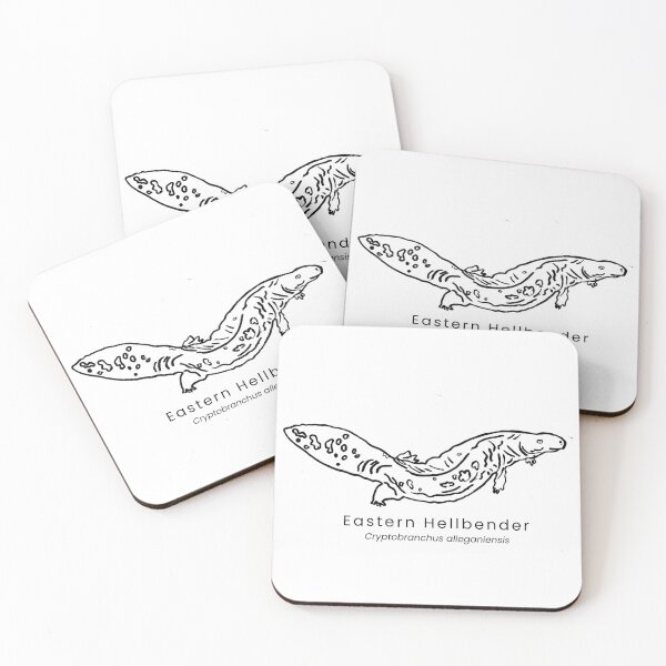 Item preview, Eastern Hellbender designed and sold by The Freshwater Naturalist.