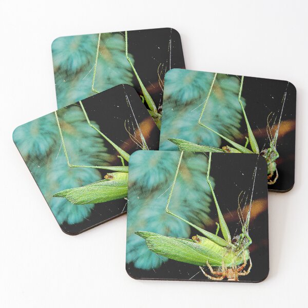 Item preview, Spider Traps and Eats a Much Larger Katydid designed and sold by AMacGPhilly.