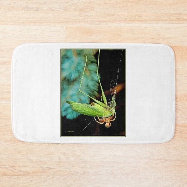 Item preview, Spider Traps and Eats a Much Larger Katydid designed and sold by AMacGPhilly.