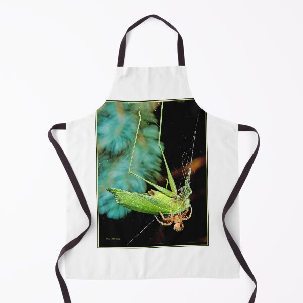 Item preview, Spider Traps and Eats a Much Larger Katydid designed and sold by AMacGPhilly.