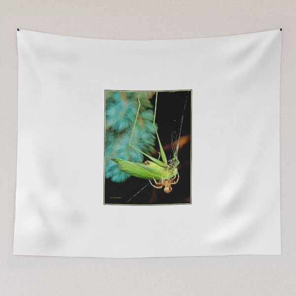 Item preview, Spider Traps and Eats a Much Larger Katydid designed and sold by AMacGPhilly.