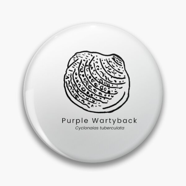 Item preview, Purple Wartyback (Freshwater Mussel) designed and sold by The Freshwater Naturalist.
