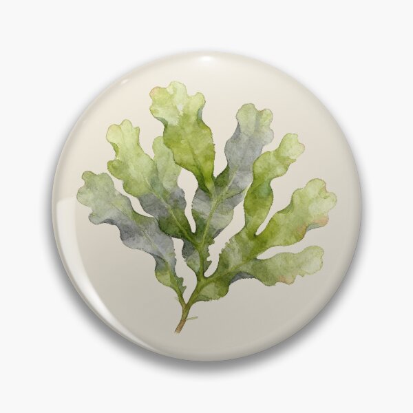 Item preview, Sea Lettuce (Ulva lactuca) designed and sold by AhojAnezkaAhoj.