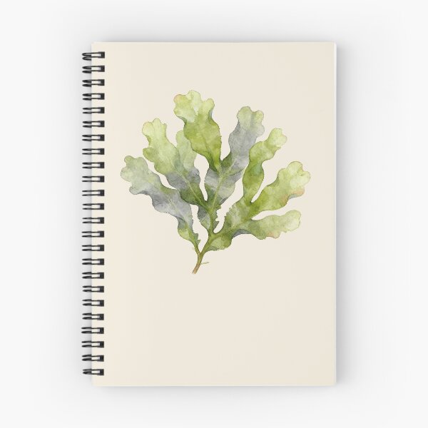 Item preview, Sea Lettuce (Ulva lactuca) designed and sold by AhojAnezkaAhoj.