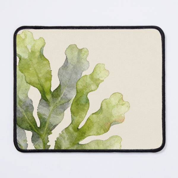 Item preview, Sea Lettuce (Ulva lactuca) designed and sold by AhojAnezkaAhoj.