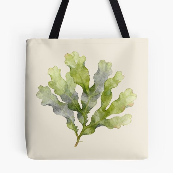 Item preview, Sea Lettuce (Ulva lactuca) designed and sold by AhojAnezkaAhoj.