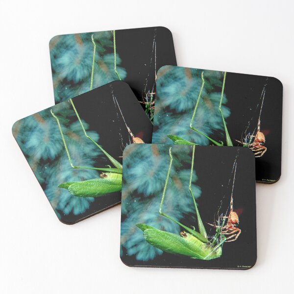 Item preview, Orb-weaver Spider Captures Much Larger Katydid Insect designed and sold by AMacGPhilly.