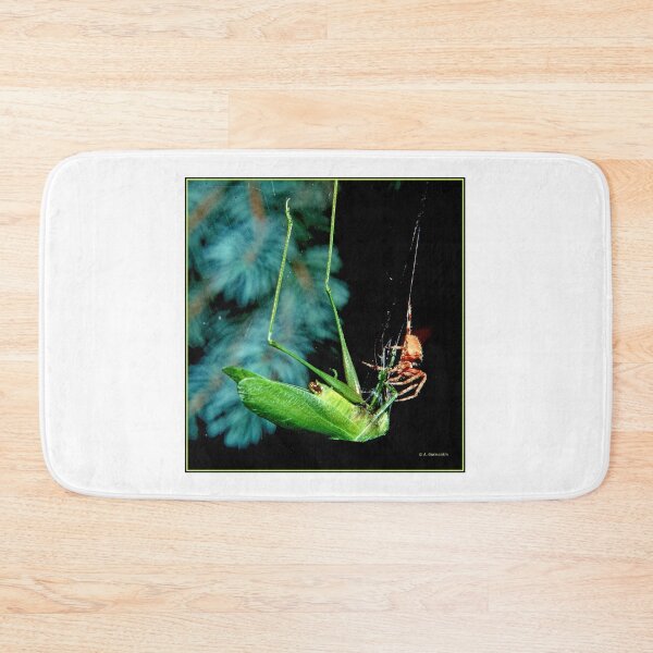 Item preview, Orb-weaver Spider Captures Much Larger Katydid Insect designed and sold by AMacGPhilly.