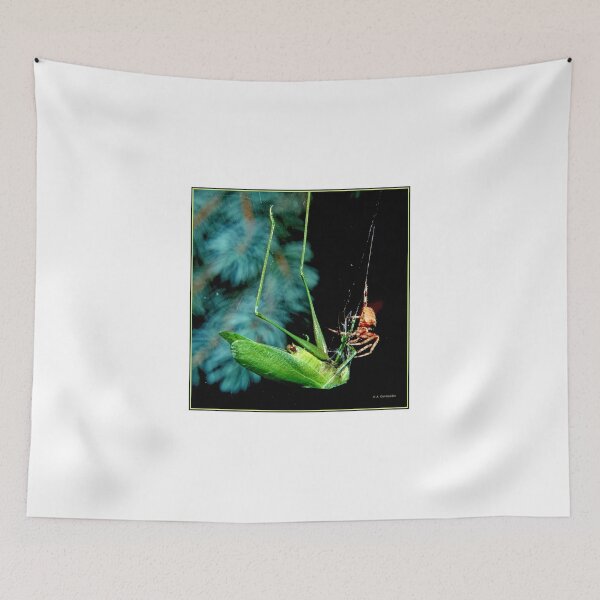 Item preview, Orb-weaver Spider Captures Much Larger Katydid Insect designed and sold by AMacGPhilly.