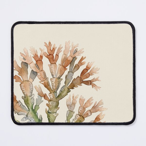 Item preview, Coralline Algae (Corallina officinalis) designed and sold by AhojAnezkaAhoj.