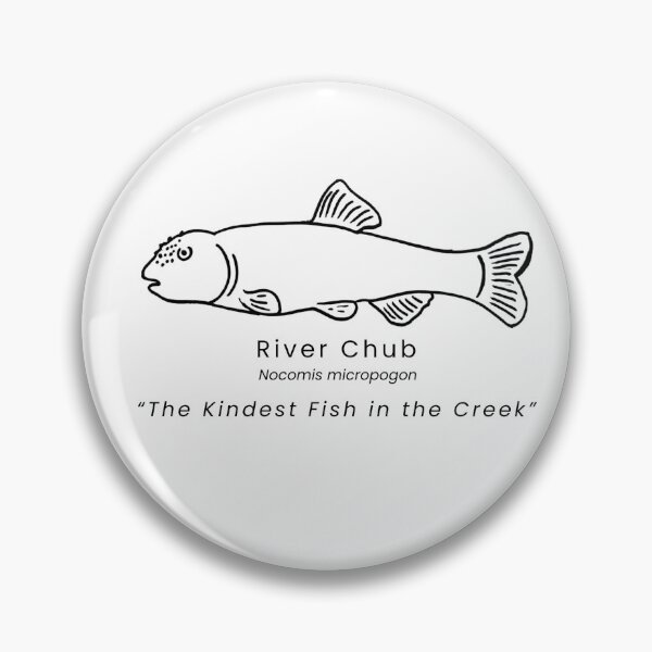 Item preview, River Chub designed and sold by The Freshwater Naturalist.