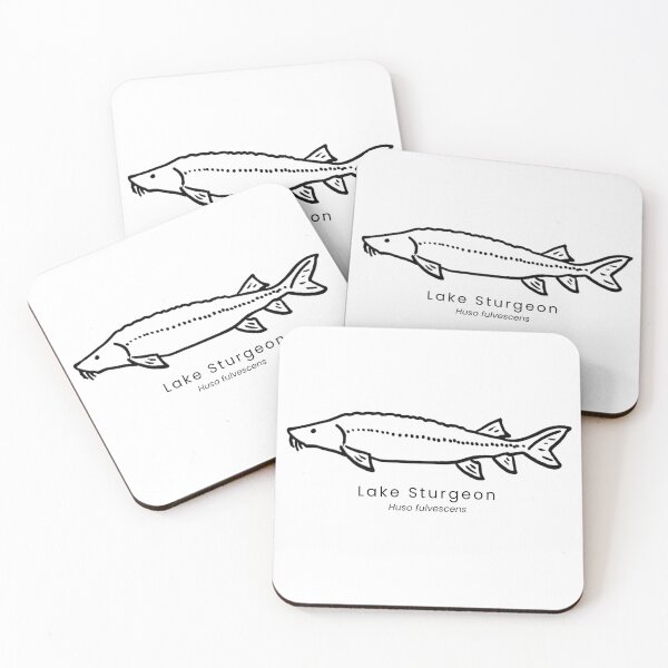 Item preview, Lake Sturgeon designed and sold by The Freshwater Naturalist.