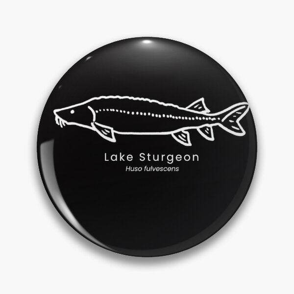Item preview, Lake Sturgeon designed and sold by The Freshwater Naturalist.
