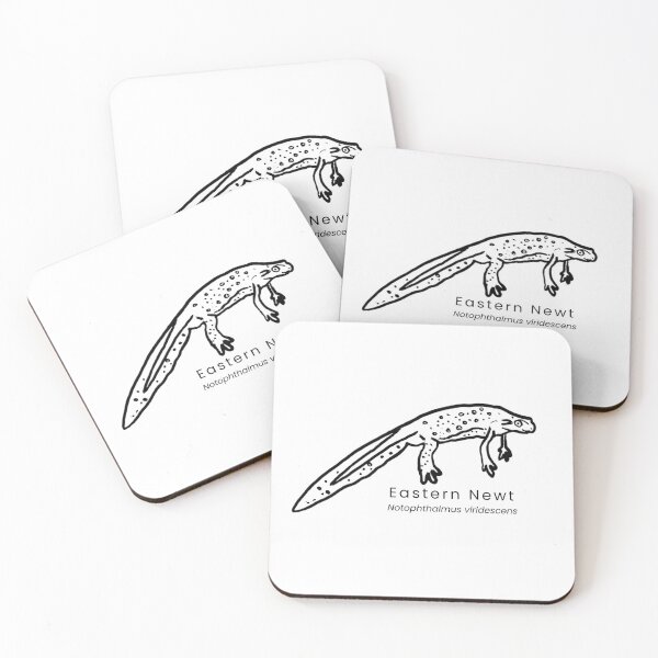 Item preview, Eastern Newt designed and sold by The Freshwater Naturalist.