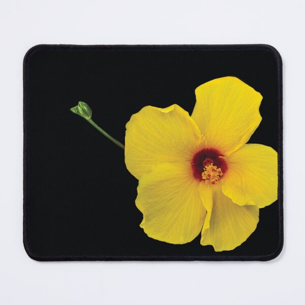 Item preview, The Lazarus Hibiscus designed and sold by Kay Brewer.