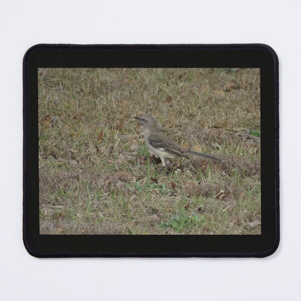 Item preview, Mocking Bird in the grass designed and sold by Smiley Photography And Creations.