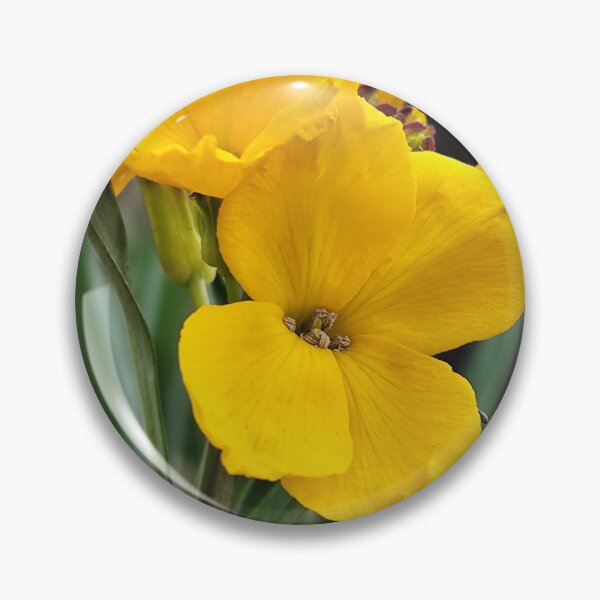 Item preview, Vivid Yellow Wallflower Bloom designed and sold by vtspatial.