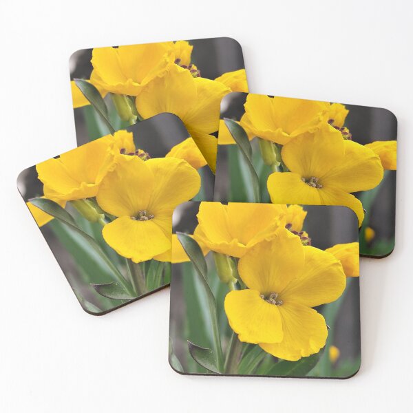 Item preview, Vivid Yellow Wallflower Bloom designed and sold by vtspatial.